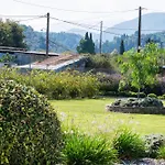 Ruellia Luxury * Kalligoni