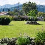 Apartment Ruellia Luxury
