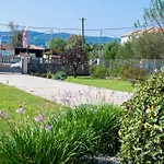 Ruellia Luxury Kalligoni